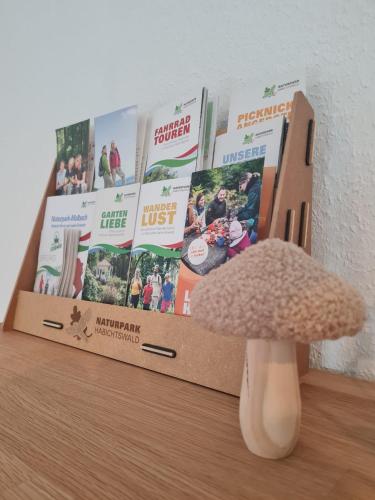 a mushroom sitting in front of a box with books at Emstaler Auszeit in Bad Emstal