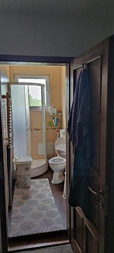 a bathroom with a tub and a toilet and a sink at Casa Munteanu in Porumbacu de Sus