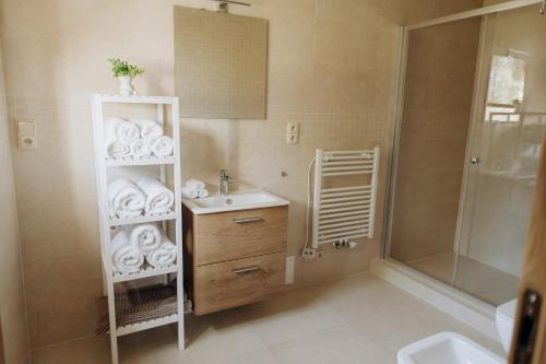 a bathroom with a sink and a shelf with towels at FamilyVilla, new 4 Luxury Big Apartments, parking in Prague