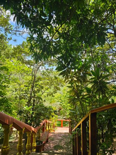 a wooden path through a forest with a wooden fence at Casa de Campo La Trigue in Comayagua