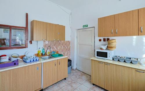 Η κουζίνα ή μικρή κουζίνα στο Cabana Cascada Cârnic