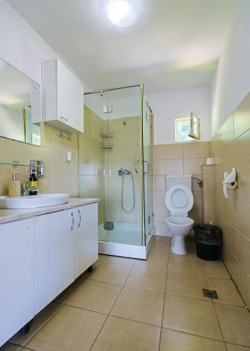 Ένα μπάνιο στο Cabana Cascada Cârnic