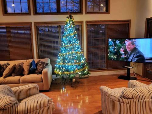 TV a/nebo společenská místnost v ubytování Lake Views! Hot Tub! Family & Pet Friendly!