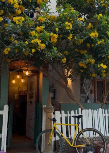 Ciclismo en Tecoma Hostel o alrededores