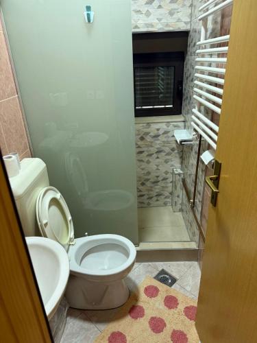 a bathroom with a toilet and a shower at Pasha Vlašić in Šišava
