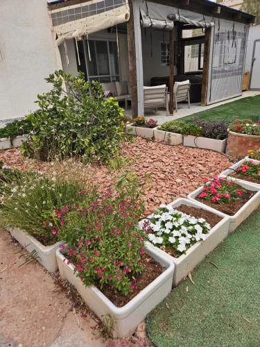 a garden with flowers and plants in front of a house at חצבים על הואדי in Arad