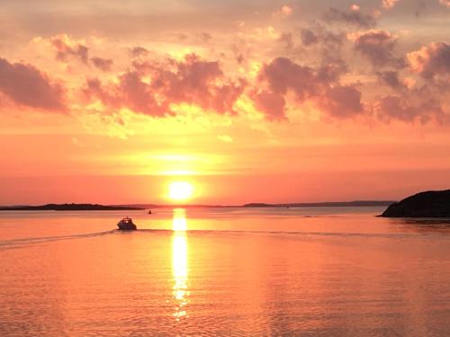 a boat in the water at sunset at Guest House in Cosy Garden in Särö