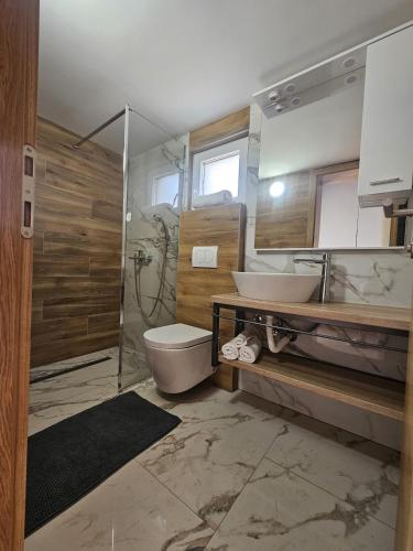 a bathroom with a shower and a toilet and a sink at Vacation home Vilim in Kamešnica