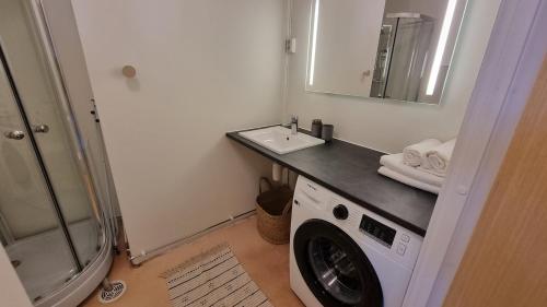 Central apartment في ترومسو: حمام مع غسالة ومغسلة