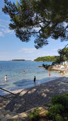 Apartmani DONNA