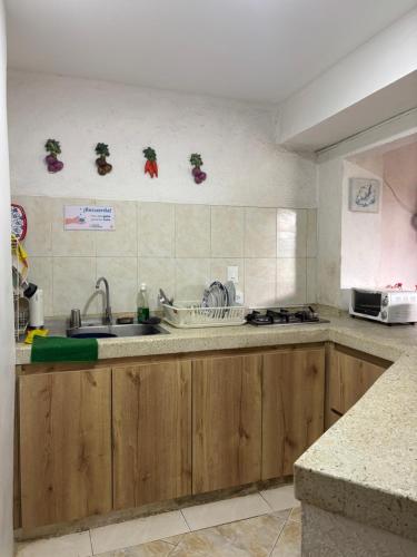eine Küche mit Spüle und Arbeitsplatte in der Unterkunft Hospedaje Casa Taganga in Taganga