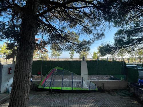 a greenhouse next to a tree next to a fence at Pinehouse Velipoja in Velipojë