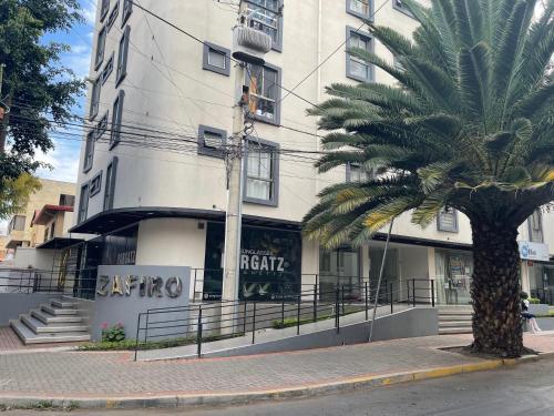 eine Palme vor einem Gebäude in der Unterkunft Lindo monoambiente excelente ubicación in La Playa Bejarano