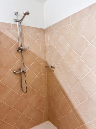 a shower in a bathroom with brown tiles at Grand Case Beachfront Apartment, Perfect for a couple looking a romantic Gateway in Grand Case