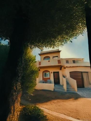 een huis wordt door een boom getoond bij Lighthouse Hotel in Saint. Catherine