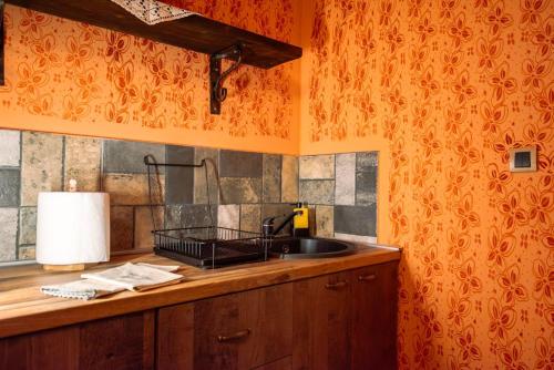 a kitchen with a sink and a counter top at Etno kuća Biblioteka in Smederevo