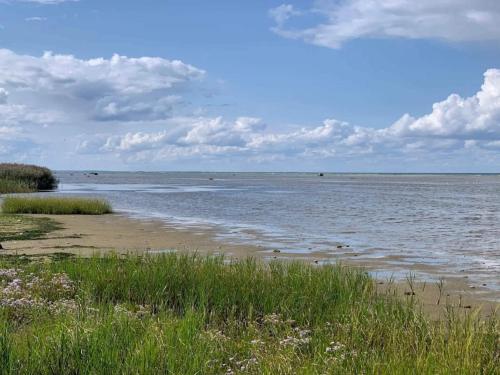 a beach with a body of water and some grass at Luxury Retreat by Bonnerup - By Traum Ferienwohnungen in Glesborg