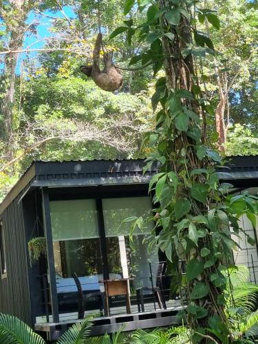 Taman di luar Green Lapa's