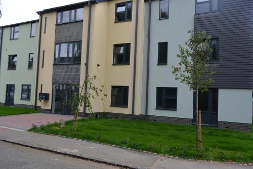 an apartment building with two trees in front of it at Bright & Spacious Apartment with large balcony and free parking in Oxford