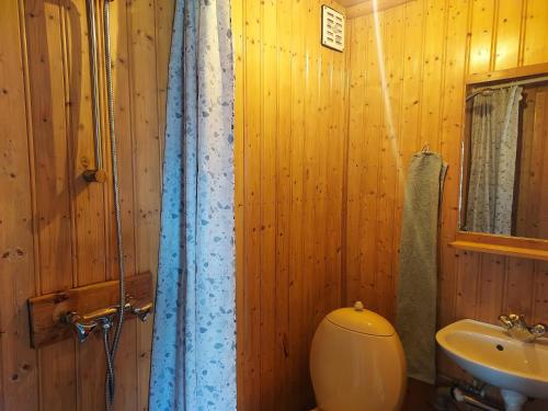 a wooden bathroom with a toilet and a sink at Hænuvík Cottages in Örlygshöfn