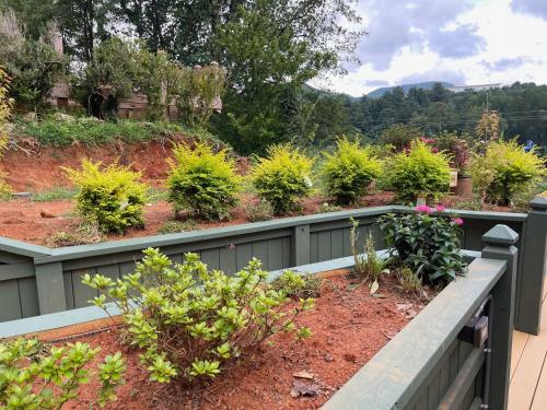 a garden with plants on a fence at Mountain Aire Cottages, Inn, & Glamping in Clayton