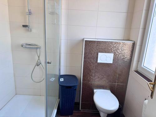 a bathroom with a toilet and a glass shower at Apartment in DanMa mit Gemeinschaftsküche in Laubach