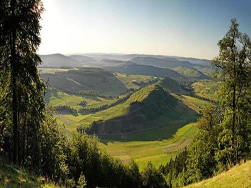 a view of a valley from a hill with trees at Apartment in DanMa mit Gemeinschaftsküche in Laubach