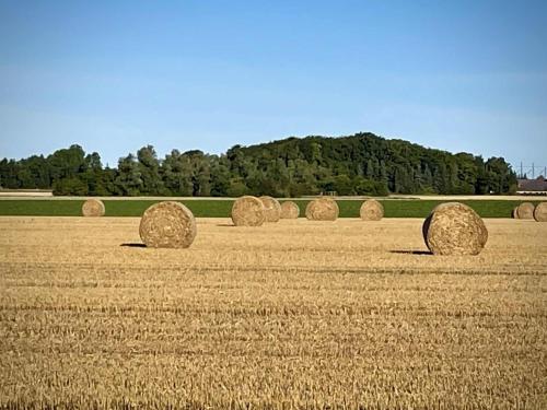 a field full of hay bales in a field at Private 3 BR Villa! Jacuzzi Fireplace Near Lund and Malmö in Kävlinge