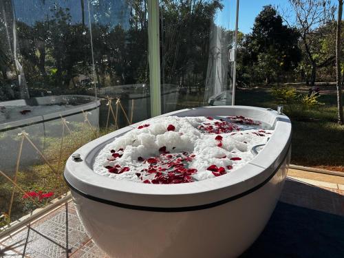 Jardín al aire libre en Imersão na Natureza com Hidro