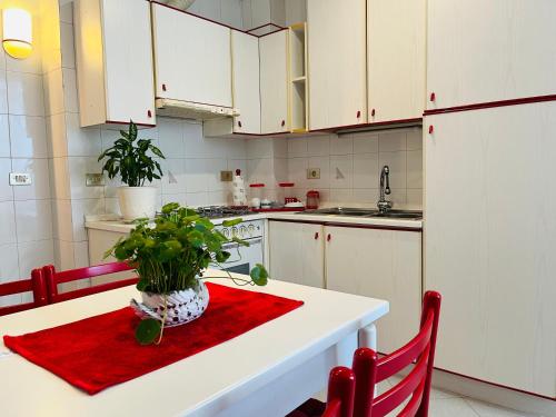 a kitchen with a table with a potted plant on it at Luxury Relax Apartment near Venice Station in Venice