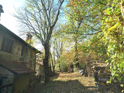 Jardín al aire libre en Tranquil Stone Chalet