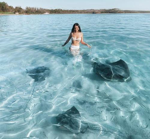 a woman standing in the water with three turtles at BasinWaterStays Waterfront Jetty - Brm3 in Basin View