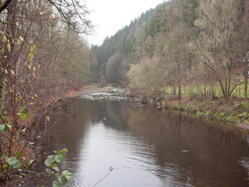 a river with trees on the side of it at Villa in Borstendorf nahe Erzgebirge in Grünhainichen