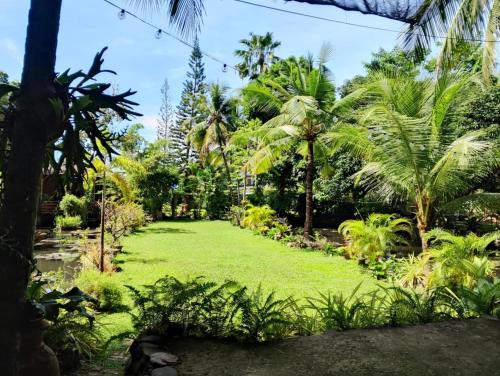 Un jardín fuera de Dumaguete Oasis Treehouse, near airport and mall