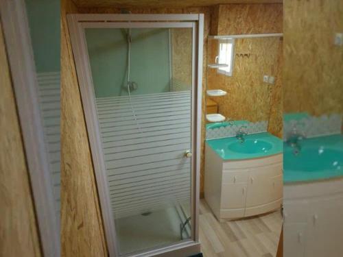 a bathroom with a shower and a sink at Chalet 50m², 8 personnes, Terrasse - API-1-52-723 in Les Grandes-Ventes