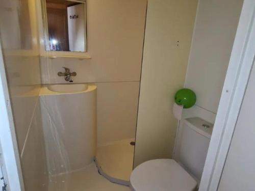 ein kleines Badezimmer mit Toilette und Waschbecken in der Unterkunft Chalet 2 chambres avec terrasse aux Grandes-Ventes - API-1-52-534 in Les Grandes-Ventes