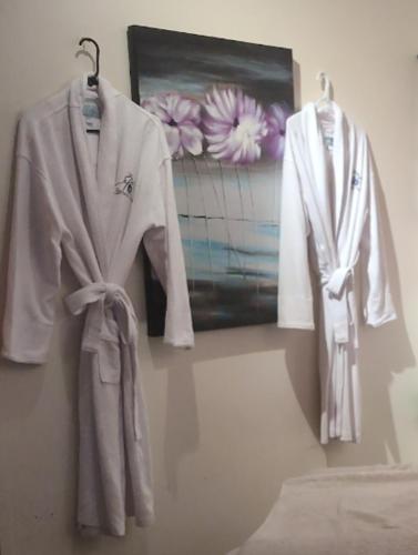 a robe hanging on a wall next to a painting at Tania's guest rooms in Calgary