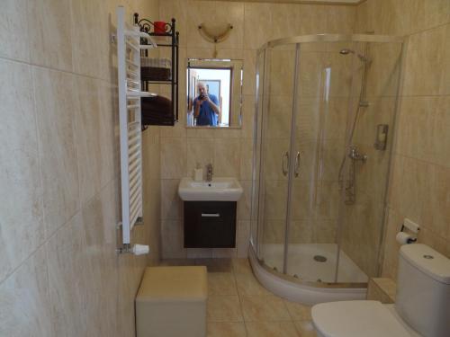 a bathroom with a shower and a toilet and a sink at Apartament Selaz in Szklarska Poręba