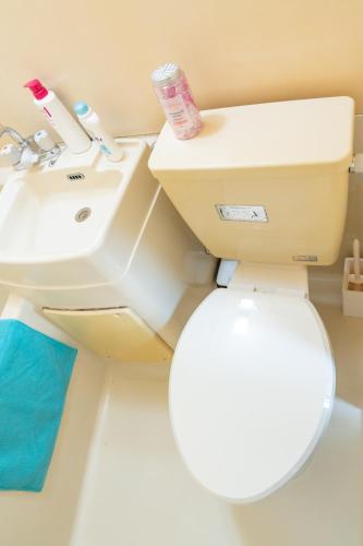 a bathroom with a toilet and a sink at Kanamachi INN A-1 in Tokyo