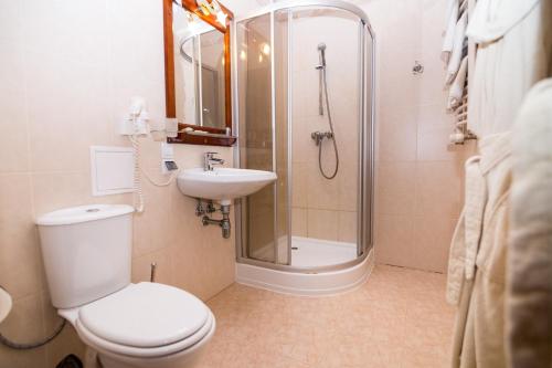 a bathroom with a shower and a toilet and a sink at Shelter Hotel & Restaurant in Kolodezhno
