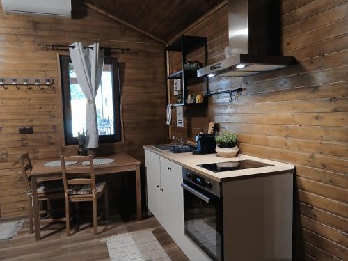 a kitchen with a stove and a sink and a table at Popa Cabana in Sibiu