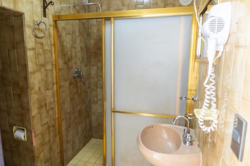 a bathroom with a shower and a sink with a blow dryer at Casa-Alojamiento Tierra Roja zona centro in Arandas