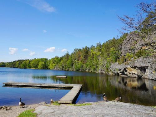 a group of ducks standing on the shore of a lake at 5 person holiday home in TYRESÖ in Tyresö