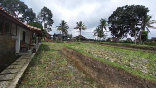 Taman di luar Rumah Kemuning Bali