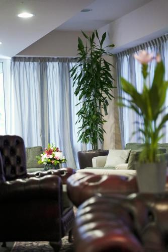 a living room with a couch and a plant at Hotel Europa in Reggio Emilia