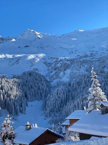 Appartement de luxe 4 adultes 2 enfants 3 chambres Méribel Mottaret location du samedi au samedi