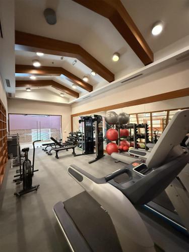 Gimnasio o equipo deportivo en Doubletree by Hilton Van