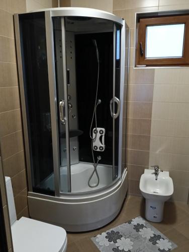 a bathroom with a shower with a toilet and a sink at Casa Boris in Bîrsana