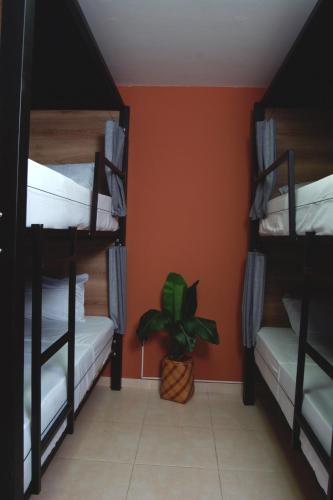 Una cama o camas en una habitación de Bohemia Boutique Hostel