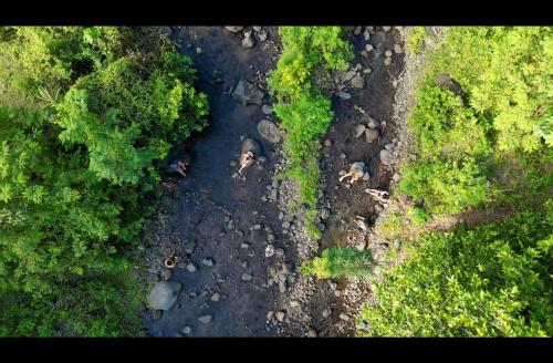 an overhead view of a river in a forest at De Chicktoria Hostel in Pawenang